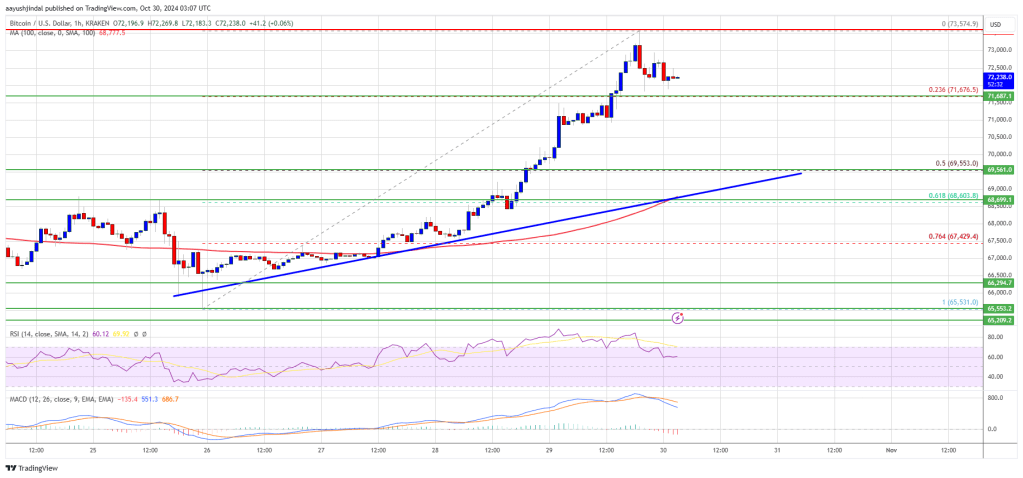 Bitcoin Price Nears All-Time High: Can It Push Past the Mark?